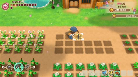 harvest moon mineral town switch.